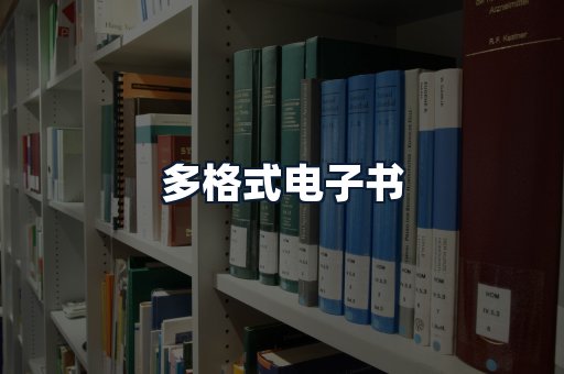 多格式电子书